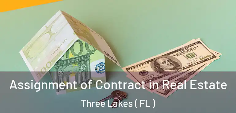  Assignment of Contract in Real Estate Three Lakes ( FL )