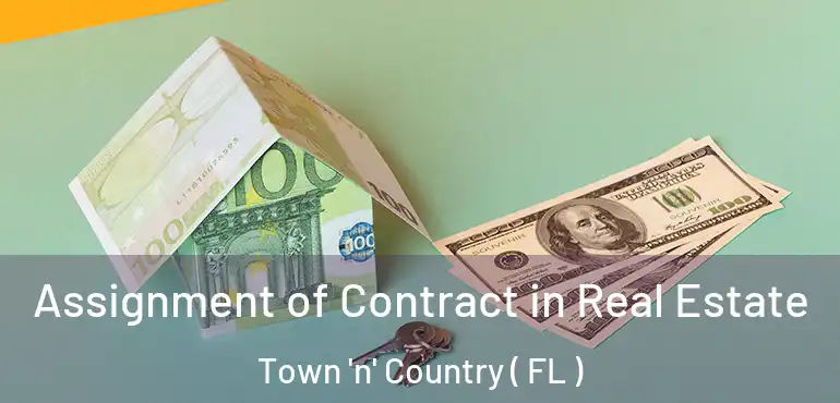  Assignment of Contract in Real Estate Town 'n' Country ( FL )