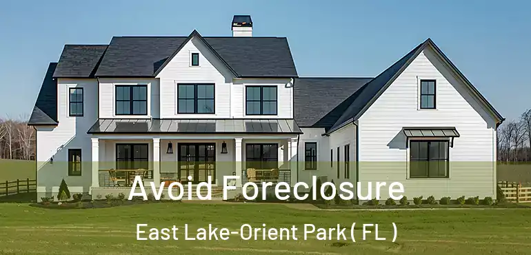  Avoid Foreclosure East Lake-Orient Park ( FL )