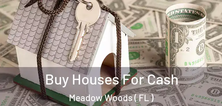  Buy Houses For Cash Meadow Woods ( FL )