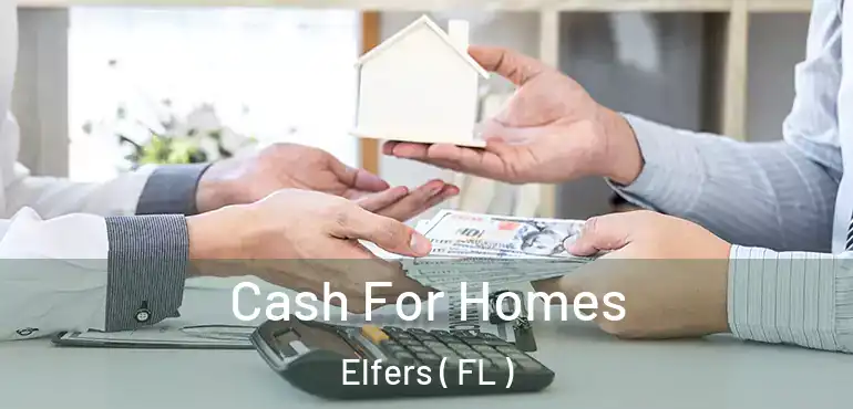  Cash For Homes Elfers ( FL )
