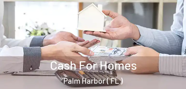  Cash For Homes Palm Harbor ( FL )