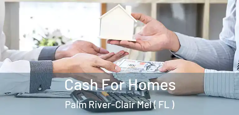  Cash For Homes Palm River-Clair Mel ( FL )