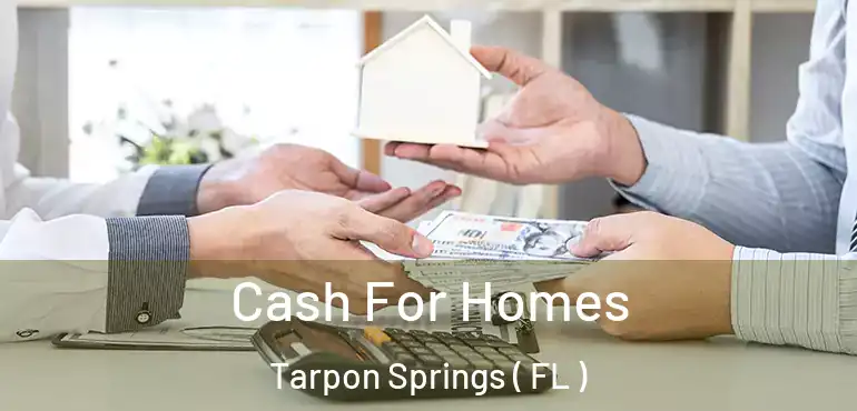  Cash For Homes Tarpon Springs ( FL )
