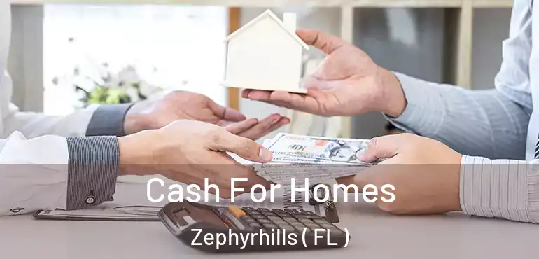  Cash For Homes Zephyrhills ( FL )