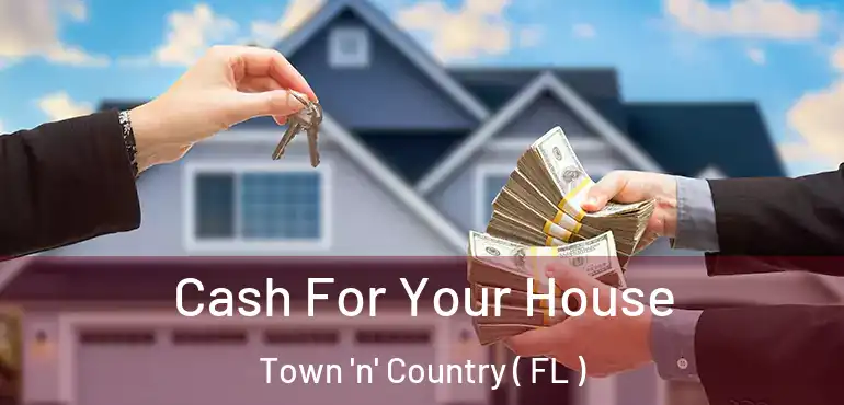  Cash For Your House Town 'n' Country ( FL )