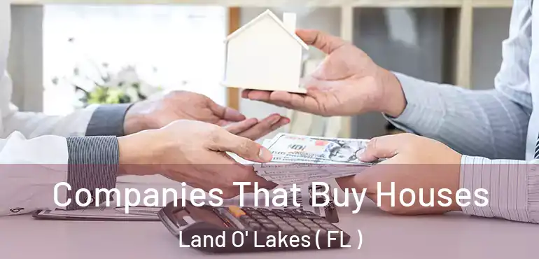  Companies That Buy Houses Land O' Lakes ( FL )