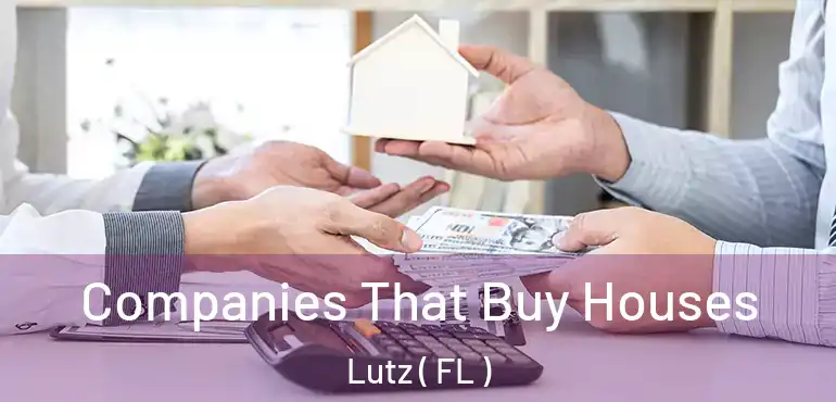  Companies That Buy Houses Lutz ( FL )
