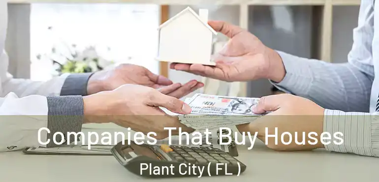  Companies That Buy Houses Plant City ( FL )