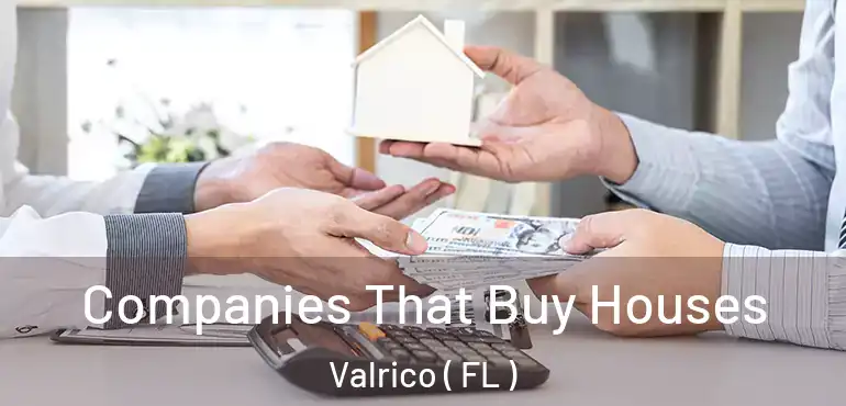  Companies That Buy Houses Valrico ( FL )