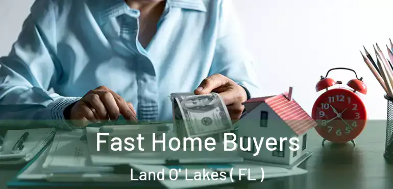  Fast Home Buyers Land O' Lakes ( FL )