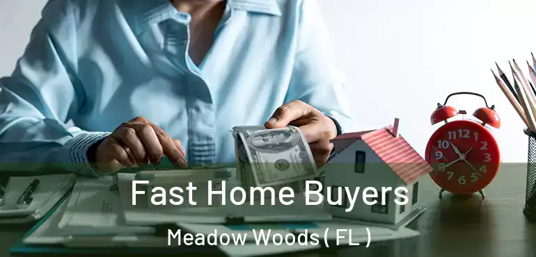  Fast Home Buyers Meadow Woods ( FL )