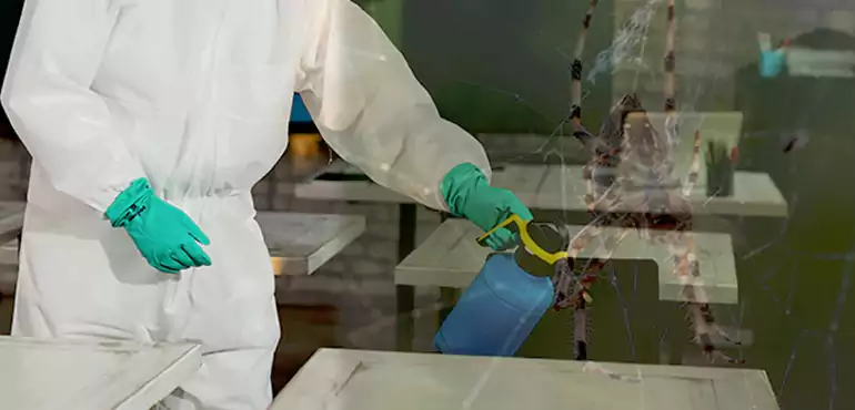 Why Buyers Still Want Homes With Pest Infestations in Florida, FL?