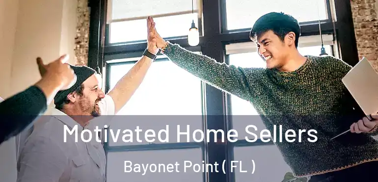  Motivated Home Sellers Bayonet Point ( FL )