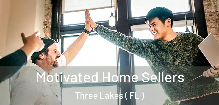  Motivated Home Sellers Three Lakes ( FL )