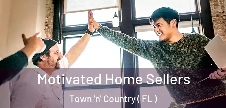  Motivated Home Sellers Town 'n' Country ( FL )