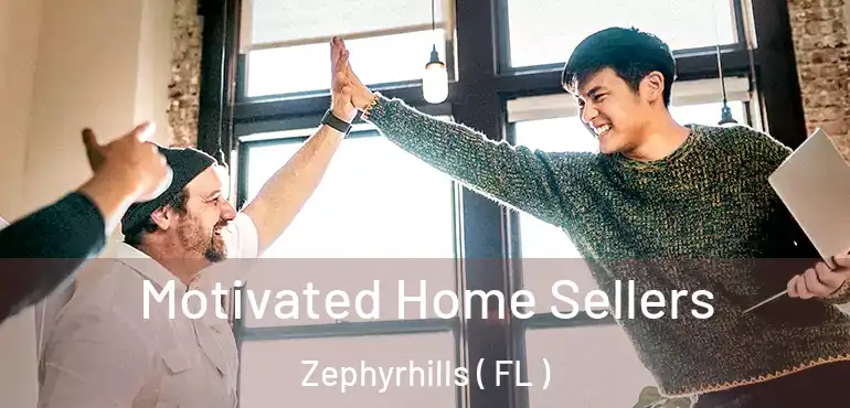  Motivated Home Sellers Zephyrhills ( FL )
