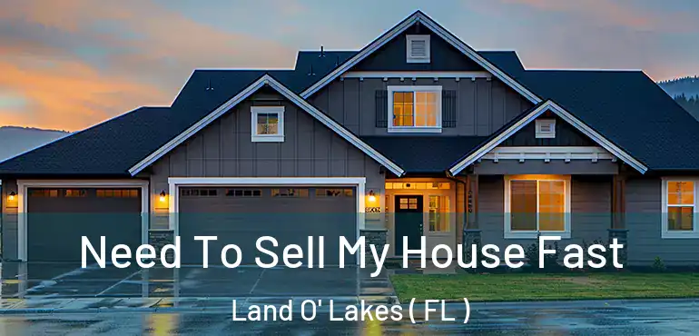  Need To Sell My House Fast Land O' Lakes ( FL )