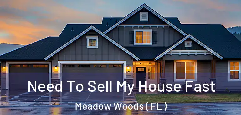  Need To Sell My House Fast Meadow Woods ( FL )