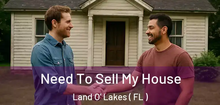  Need To Sell My House Land O' Lakes ( FL )