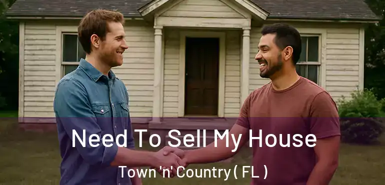  Need To Sell My House Town 'n' Country ( FL )
