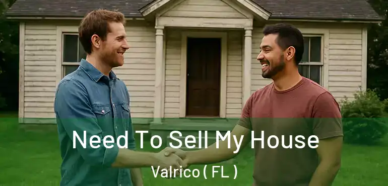  Need To Sell My House Valrico ( FL )