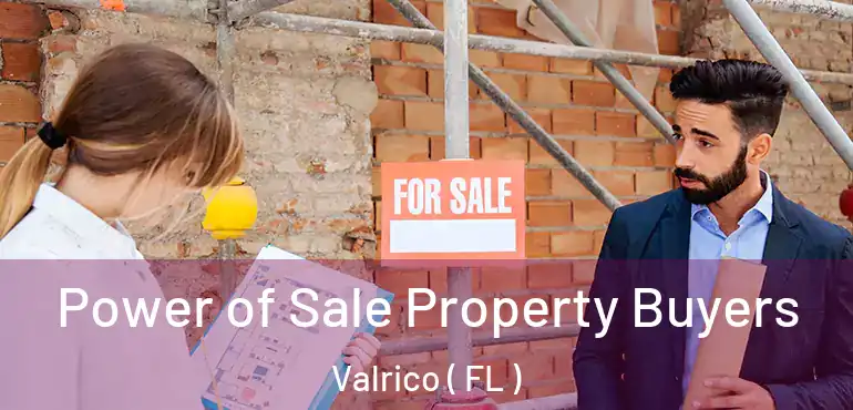  Power of Sale Property Buyers Valrico ( FL )