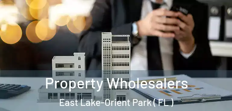  Property Wholesalers East Lake-Orient Park ( FL )