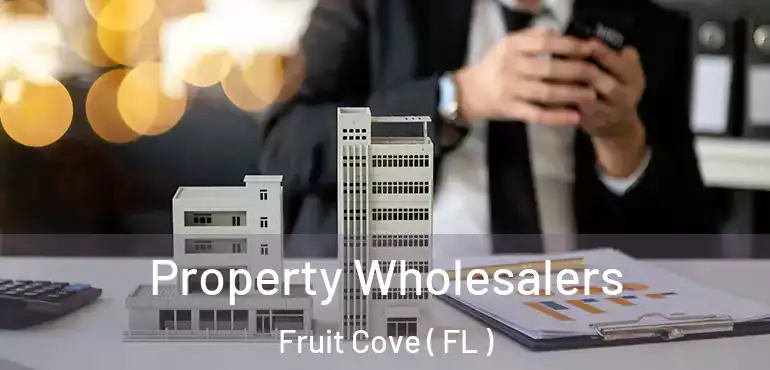  Property Wholesalers Fruit Cove ( FL )