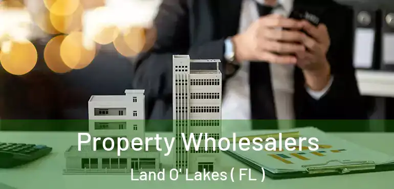  Property Wholesalers Land O' Lakes ( FL )