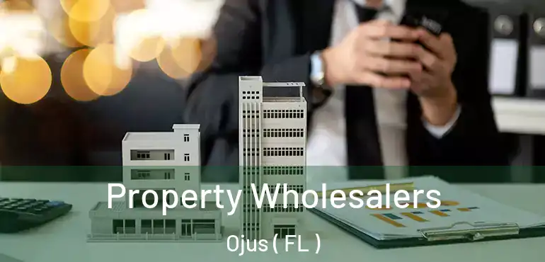  Property Wholesalers Ojus ( FL )