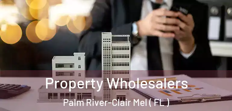  Property Wholesalers Palm River-Clair Mel ( FL )
