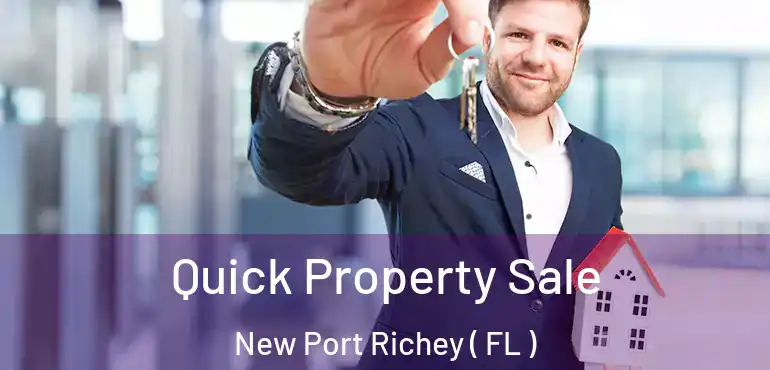  Quick Property Sale New Port Richey ( FL )