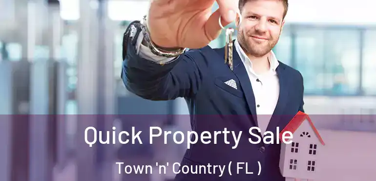 Quick Property Sale Town 'n' Country ( FL )