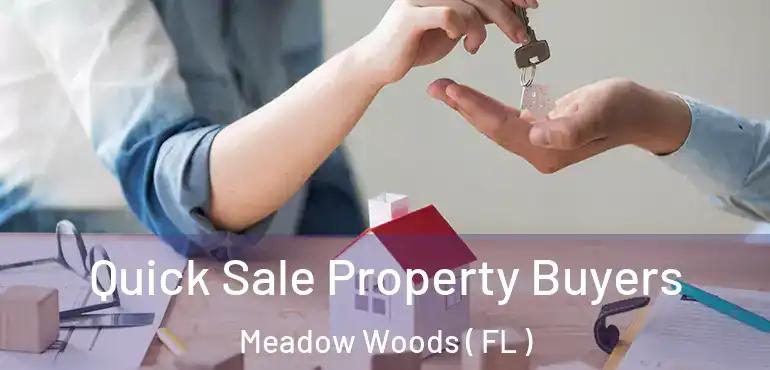  Quick Sale Property Buyers Meadow Woods ( FL )