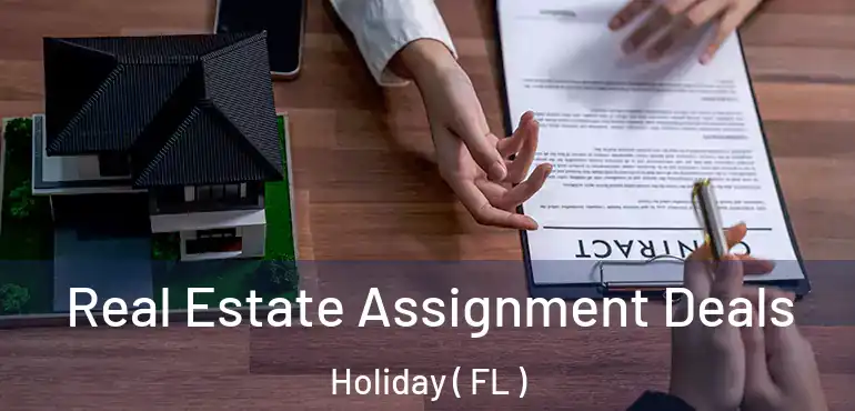  Real Estate Assignment Deals Holiday ( FL )