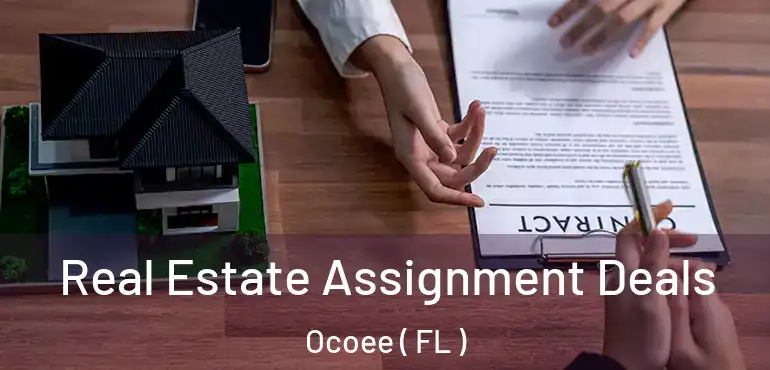  Real Estate Assignment Deals Ocoee ( FL )