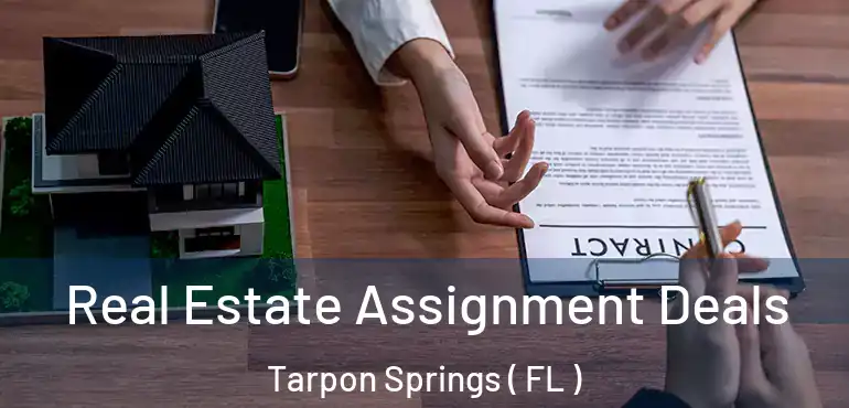  Real Estate Assignment Deals Tarpon Springs ( FL )