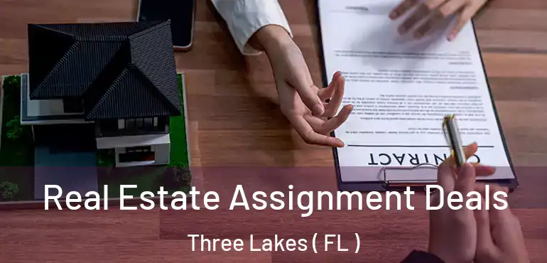  Real Estate Assignment Deals Three Lakes ( FL )