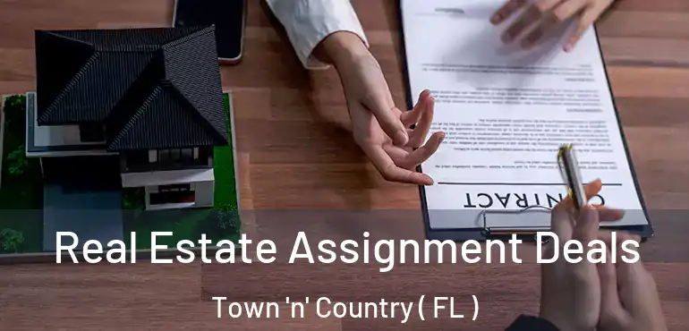  Real Estate Assignment Deals Town 'n' Country ( FL )