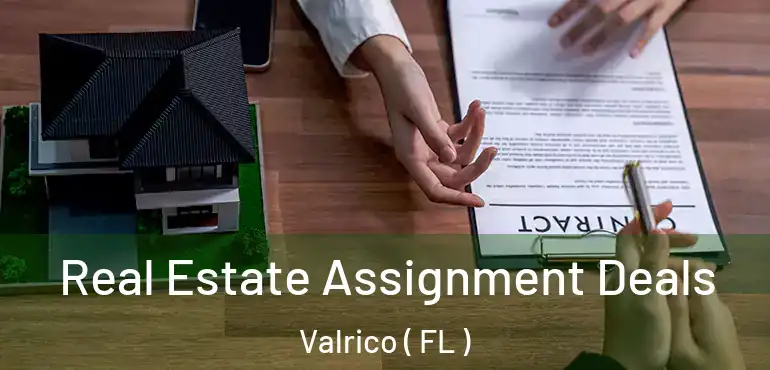  Real Estate Assignment Deals Valrico ( FL )