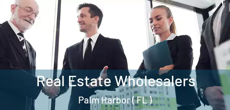  Real Estate Wholesalers Palm Harbor ( FL )