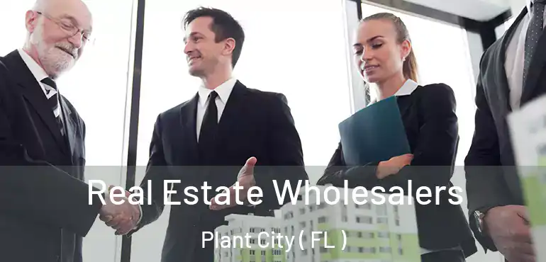  Real Estate Wholesalers Plant City ( FL )