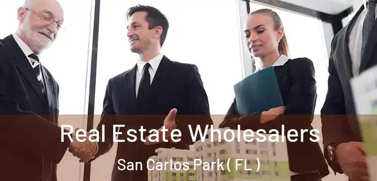  Real Estate Wholesalers San Carlos Park ( FL )