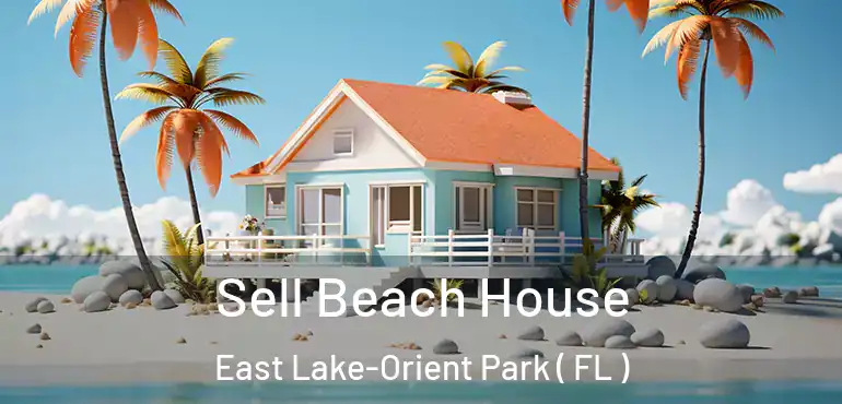  Sell Beach House East Lake-Orient Park ( FL )