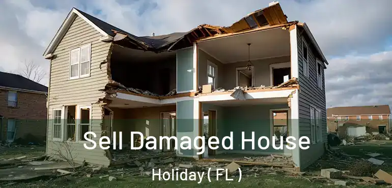  Sell Damaged House Holiday ( FL )