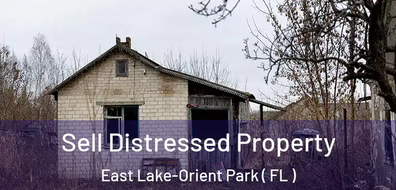  Sell Distressed Property East Lake-Orient Park ( FL )