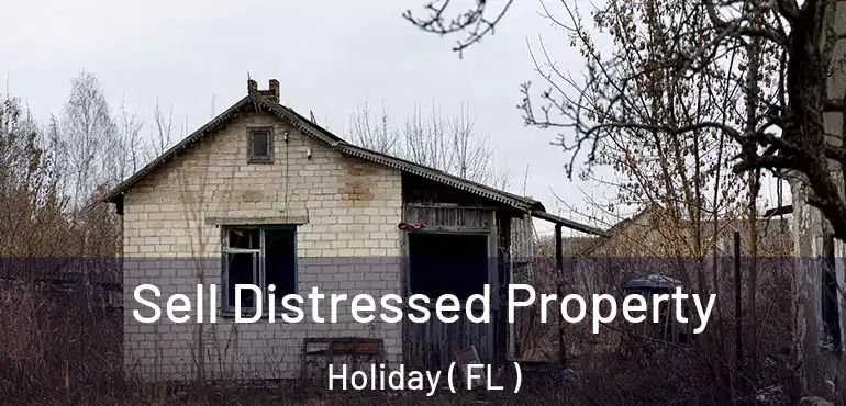  Sell Distressed Property Holiday ( FL )