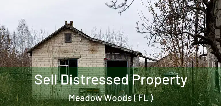  Sell Distressed Property Meadow Woods ( FL )