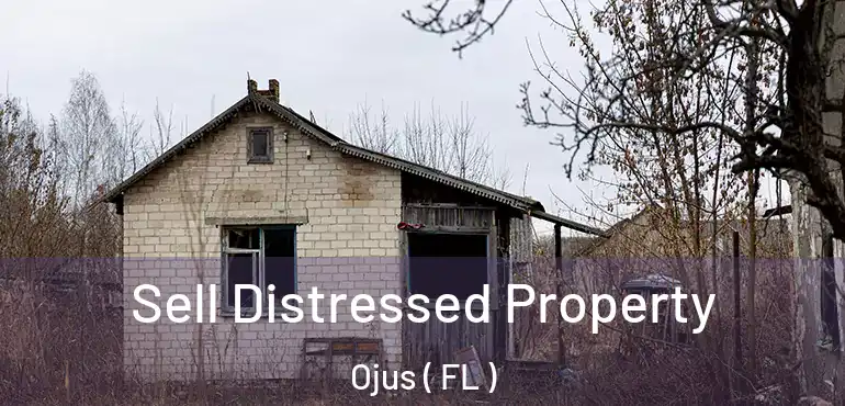  Sell Distressed Property Ojus ( FL )